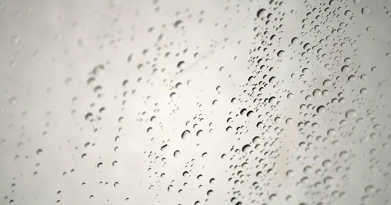 Le vrai test : l'humidité, la moisissure et le temps