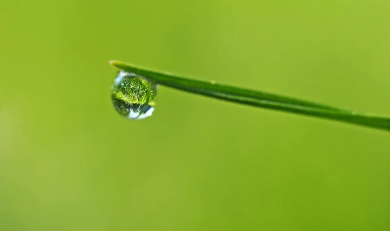 Récupération d'eau de pluie : le projet oublié qui rapporte